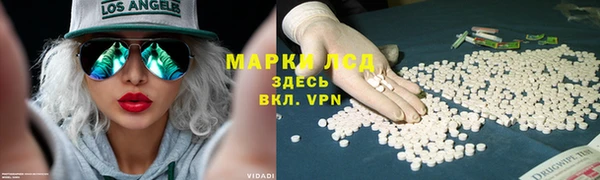 альфа пвп Мурманск