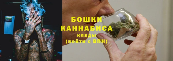 стаф Вязьма