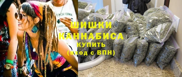 стаф Вязьма