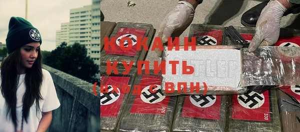 стаф Вязьма