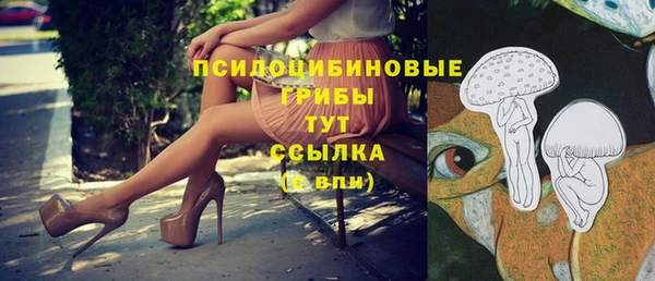 jwh Вяземский
