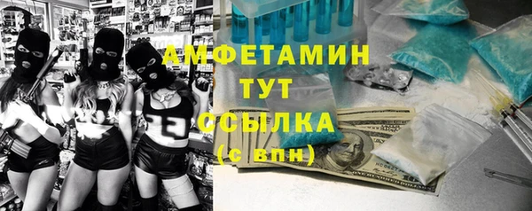 стаф Вязьма