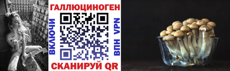 Псилоцибиновые грибы мухоморы МЕГА рабочий сайт Избербаш сколько стоит